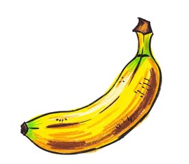 bananas on a white background