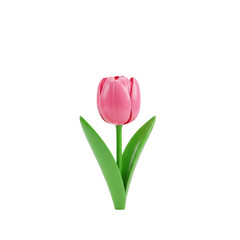 Tulip Grace: Gentle Beauty in Bloom