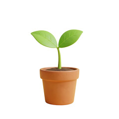 A Seedling's Quiet Strength