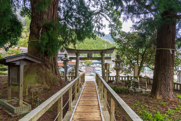 栢野の大杉と鳥居