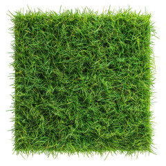 Lush Green Grass Texture isolated on a transparent background lawn nature