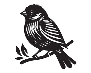 Finch 5.eps