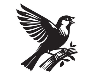 Finch 7.eps