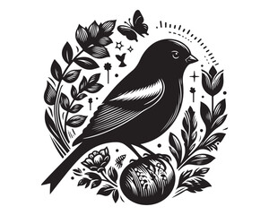 Finch 16.eps
