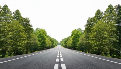 straight road with dashed line surrounded by green trees isolated on a white background asphalt road with lane marking and forest on both sides