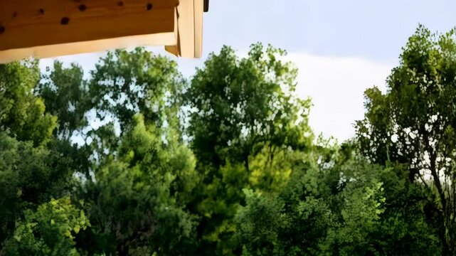 Detailed close-up of a wooden soffit featuring exposed rafters, set against a backdrop of lush green trees and a blue sky