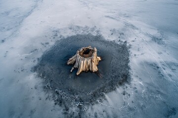 tree trunk in iced lake