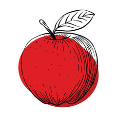 Ripe red apple fruit hand drawn illustration logo icon, organic fresh food just harvested