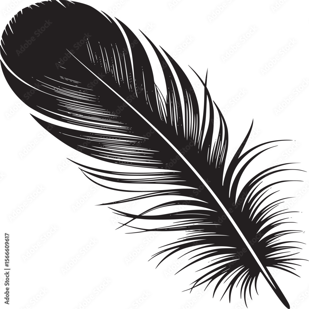 Poster black feather illustration vector graphic design element isolated on white background stock image ar