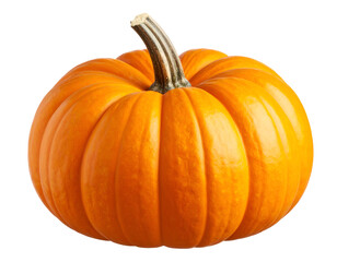 Obraz premium A fresh, vibrant orange pumpkin with a sturdy stem stands ready for autumn celebrations.