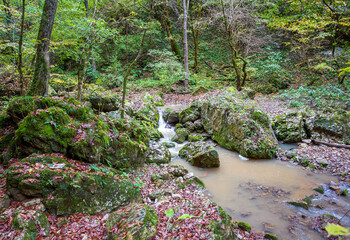the rocky bottom of the riverbed , a walk along the river stones with an overview of the bottom...