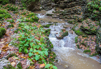 the rocky bottom of the riverbed , a walk along the river stones with an overview of the bottom...