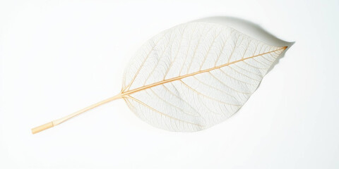 Macro Close-Up of Delicate White Skeleton Leaf with Brown Stem Isolated on White Background | AI-Generated Botanical Art