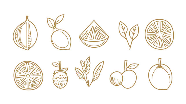 Line art illustration of a lemon, minimalist and clean vector design showcasing the fruit’s shape and texture with simple contours, fresh and natural style suitable for food, health, and organic theme