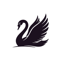 Obraz premium black swan vector illustration