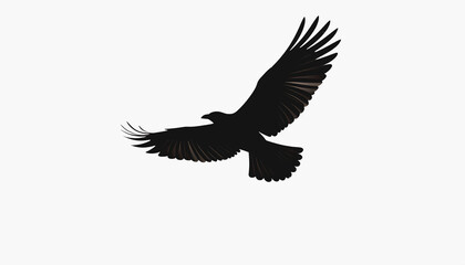 Obraz premium Raven in Silhouette A captivating silhouette of a raven gracefully soaring through the sky