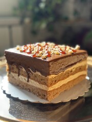 piece of cake with chocolate