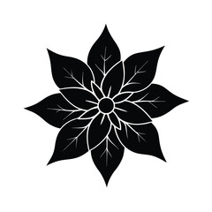 Fototapeta premium Elegant Black and White Floral Design with Detailed Veins