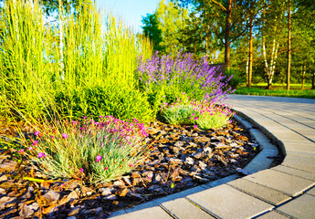 Landscape Architecture for Public Spaces. Garden Pathway. Walkway in green spaces. Landscape design. Lawn grass, manicured lawn, flowers, shrubs in urbanization. Landscaping for urban spaces.