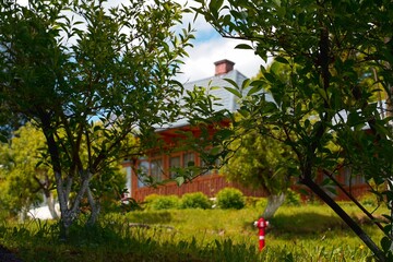 big house in greenery. A big individual house is hidden behind greenery on a beautiful summer day