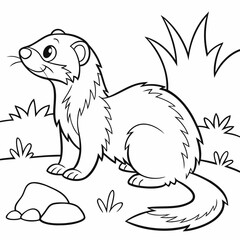 vector illustration of a sketch of a ferret
