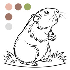 guinea-pig-coloring-page of vector illustration