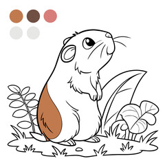 guinea-pig-coloring-page of vector illustration