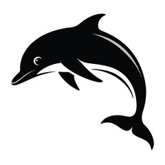 dolphin isolated on white background