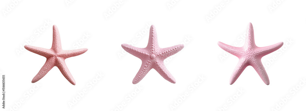 Poster pink starfish trio displayed in a line highlighting their texture and unique natural patterns