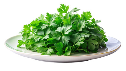 Fresh bunch of curly parsley herb on a light green plate isolated on transparent background