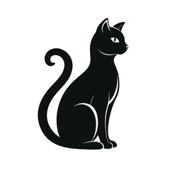 black cat on white background