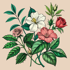 Classic Vintage Floral Art of Blooming Orchids in Elegant Style