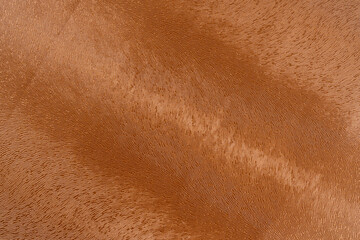 Fototapeta premium Brown macro leather texture, Synthetic leather brown background texture. Brown leather textured.