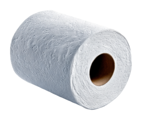Cleaning supplies toilet paper roll home product showcase