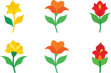 canna lily flower in various colors vector illustration