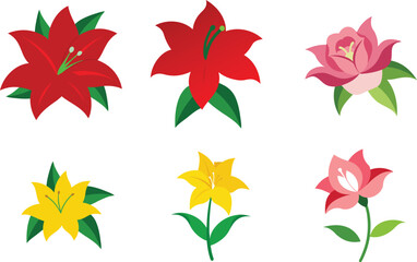 Fototapeta premium daylily flower vector in different colors