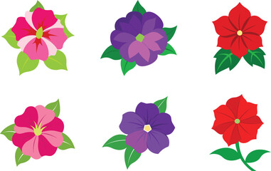 petunia flower vector in various colors