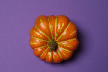 Halloween with orange pumpkins, black bats, autumn leaves on purple background