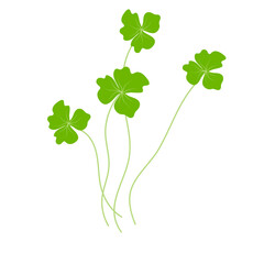 Common duckweed vector illustration