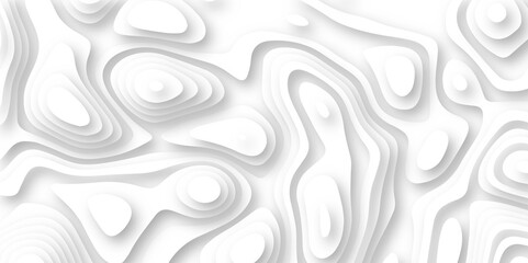 Abstract white paper cut background with lines. Background of the topographic map. Abstract wavy line paper cut white background Abstract soft white background with waves, textured Papercut background
