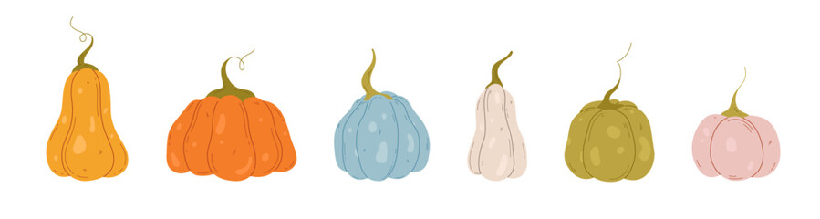 Different colors pumpkins set. Hand drawn pumpkins, vector illustration. Halloween and autumn harvest symbol