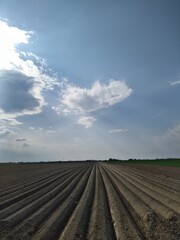 Infinite Furrows of a Farm Field