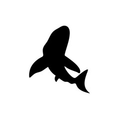 Shark silhouette icon vector 