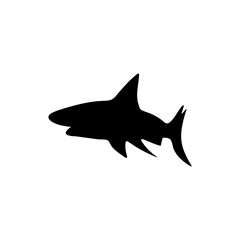 Shark silhouette icon vector 