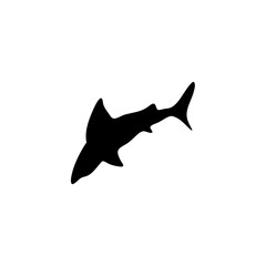 Shark silhouette icon vector 