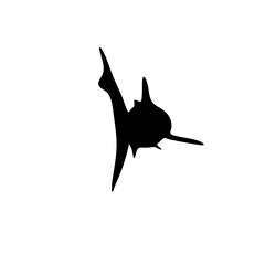 Shark silhouette icon vector 
