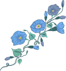 Elements isolated whispers of the Orient asian eastern flower plants botanical morning glory