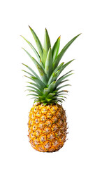 Fototapeta premium Whole Pineapple with Green Leaves Isolated on White Background