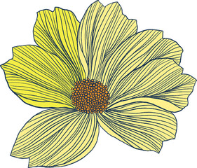Elements isolated whispers of the Orient asian eastern flower plants botanical