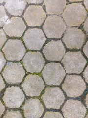 Textured paved surface of interlocking hexagonal concrete pavers, with visible traces of green moss...
